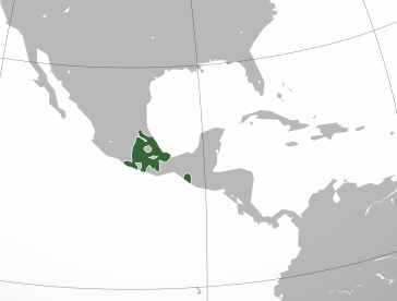 imperio azteca